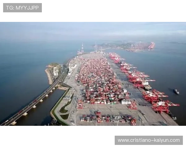 上海港口迎来新高峰全球航运物流逐步恢复推动经济发展新动能