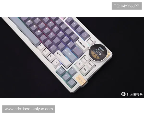 机械键盘热插拔PCB购买攻略与选型实用指南