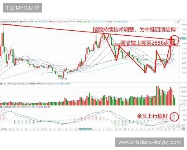 指数走势最新解析揭示市场波动趋势与未来投资机会